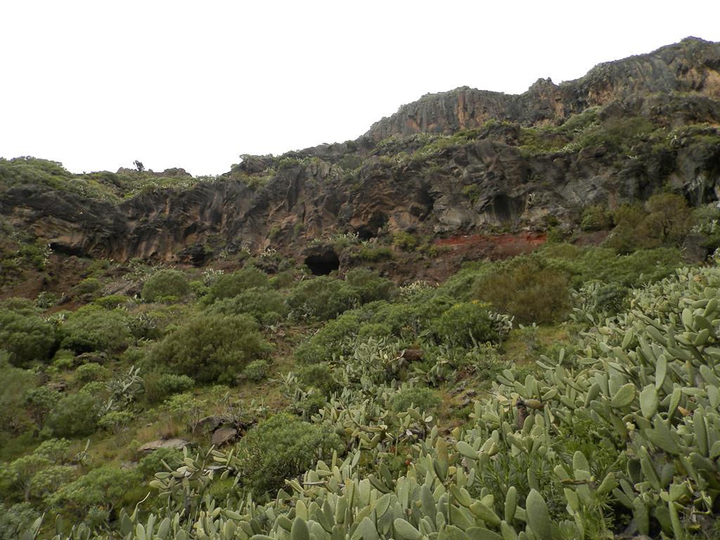 Wanderung von Arure nach  El Cercado, Calera